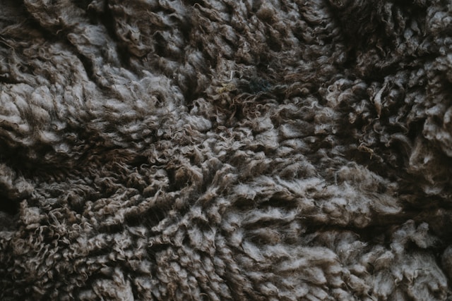 How Do You Vacuum a Shag Rug?